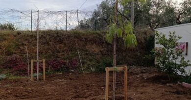 A Torrevecchia Teatina (CH)  il “Giardino di Roberta” si sviluppa grazie alle donazioni di associazioni e cittadini